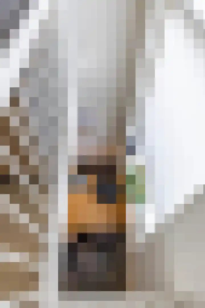 Bonairestraat 14 Groningen thumbnail 22
