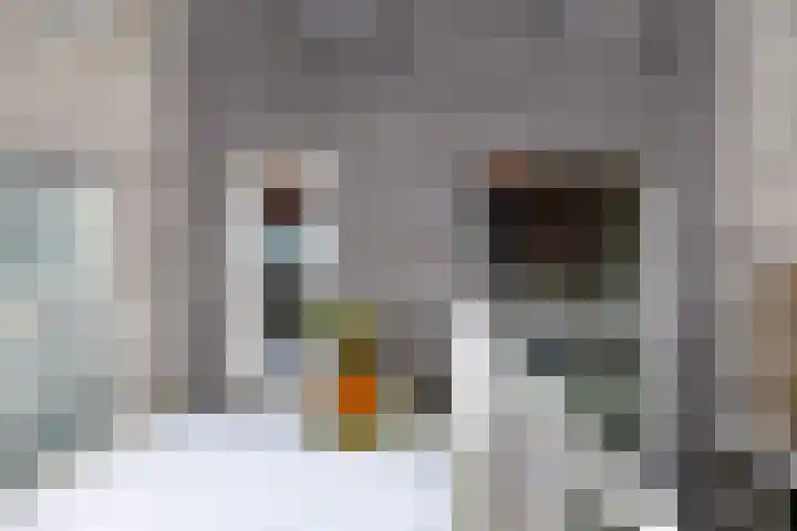 Bonairestraat 14 Groningen thumbnail 44