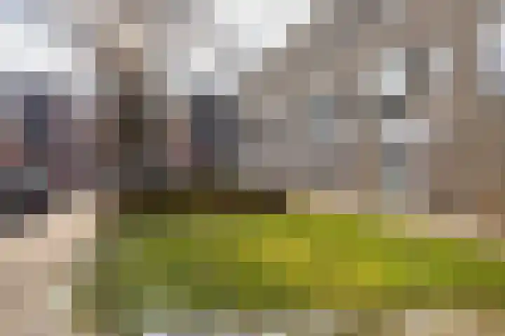 Bonairestraat 14 Groningen thumbnail 7