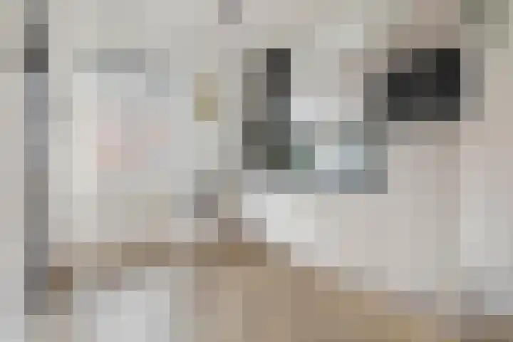 Bonairestraat 16 Groningen thumbnail 13