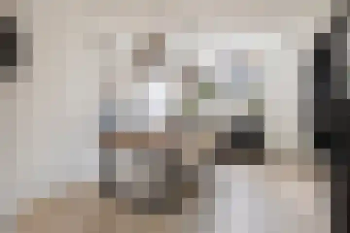 Bonairestraat 16 Groningen thumbnail 16