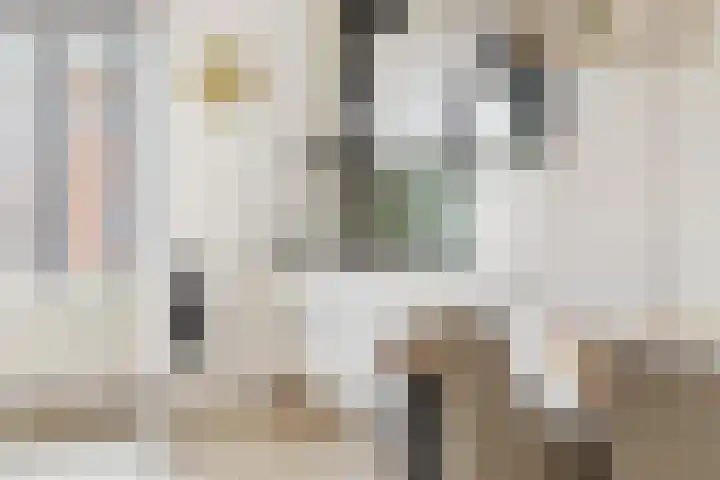 Bonairestraat 16 Groningen thumbnail 18