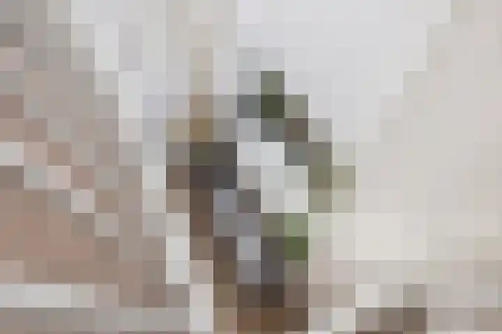 Bonairestraat 16 Groningen thumbnail 20