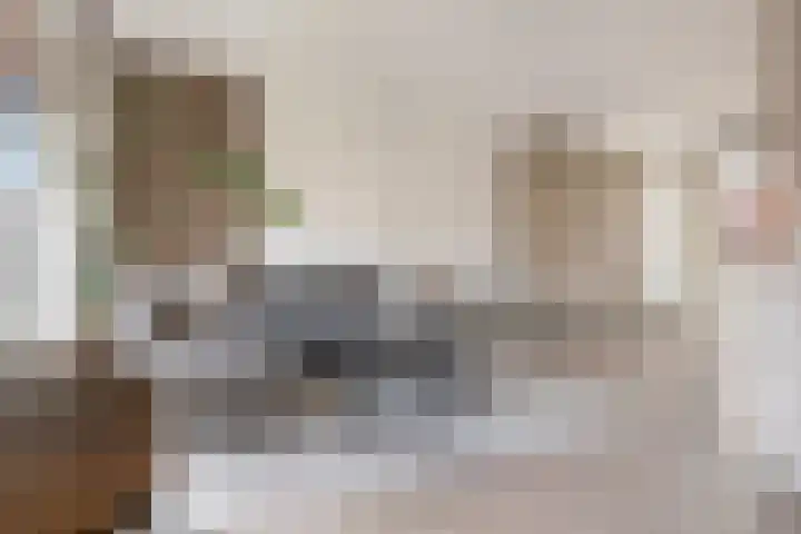 Bonairestraat 16 Groningen thumbnail 25