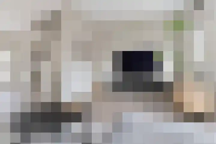 Bonairestraat 16 Groningen thumbnail 26