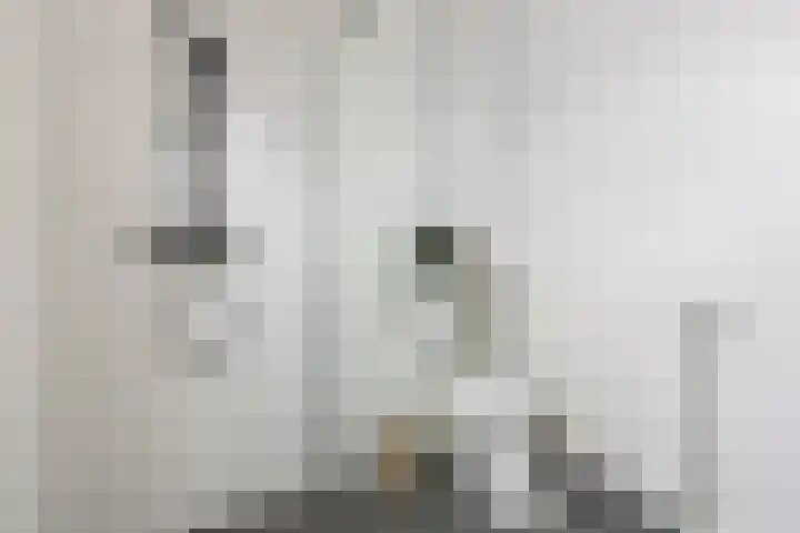 Bonairestraat 16 Groningen thumbnail 36
