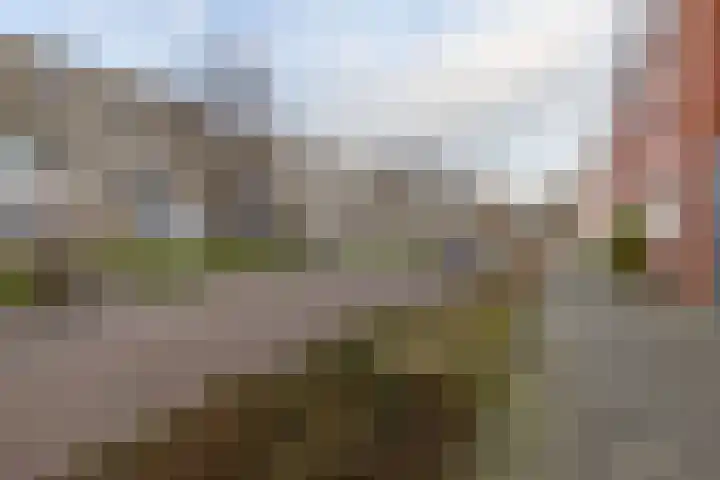 Bonairestraat 16 Groningen thumbnail 45