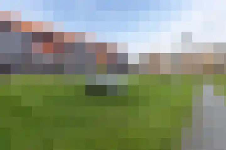 Bonairestraat 16 Groningen thumbnail 46
