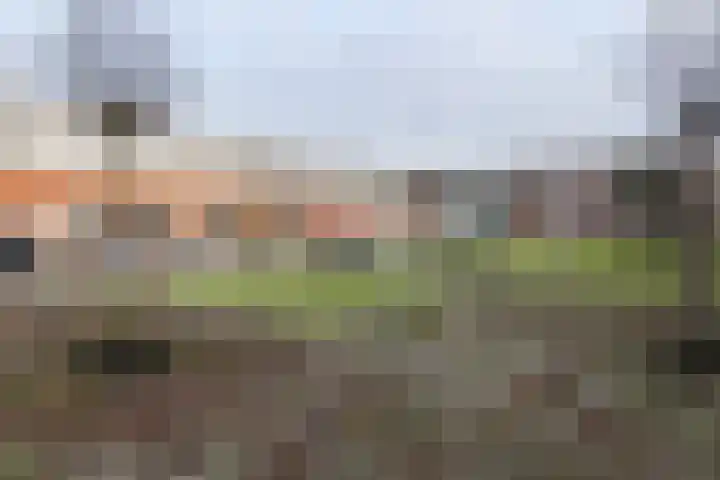 Bonairestraat 16 Groningen thumbnail 47