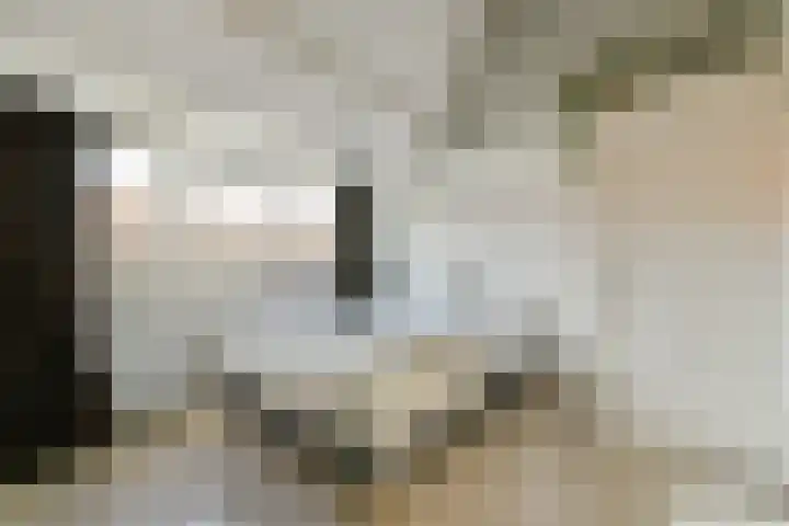 Bonairestraat 22 1 Amsterdam thumbnail 15