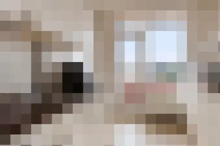 Bonairestraat 22 Hengelo thumbnail 15
