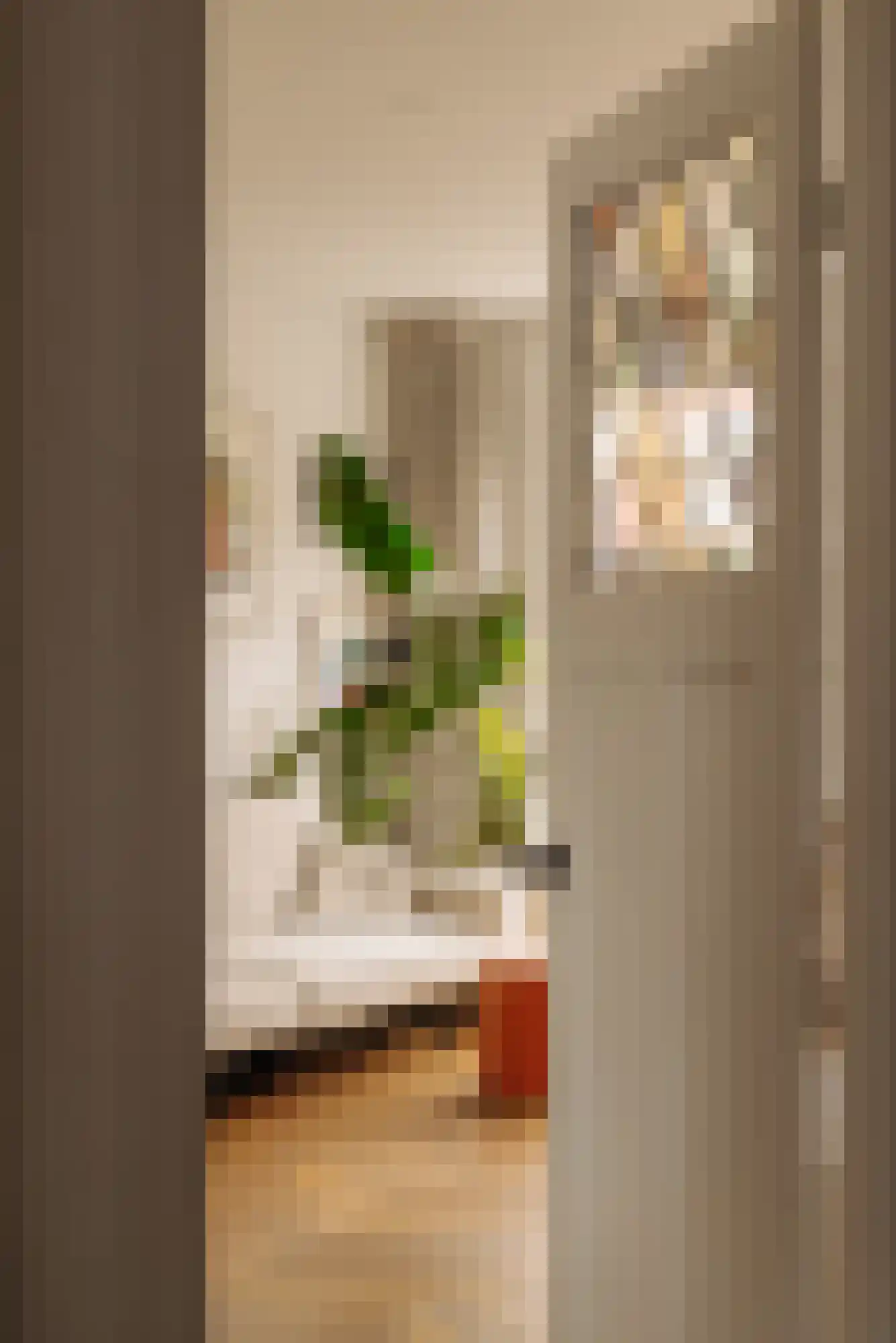Bonairestraat 23 1 Amsterdam thumbnail 23