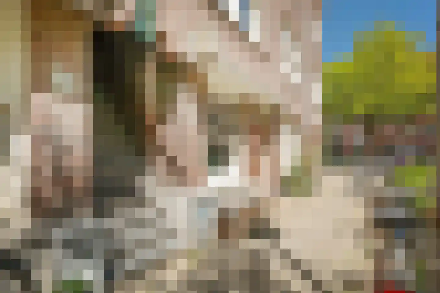 Bonairestraat 31 2 Amsterdam thumbnail 21