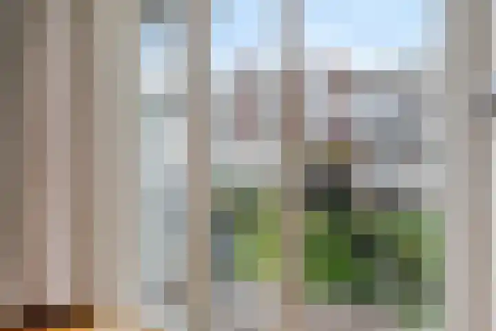 Bonairestraat 38 3 Amsterdam thumbnail 17