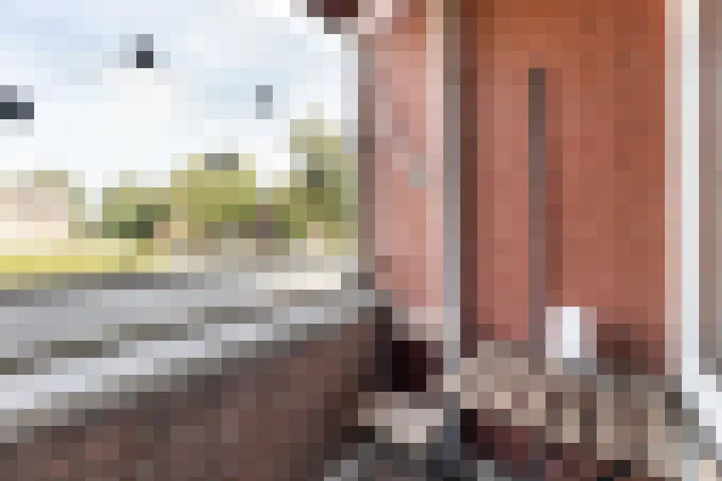 Bonairestraat 4 Hengelo thumbnail 29