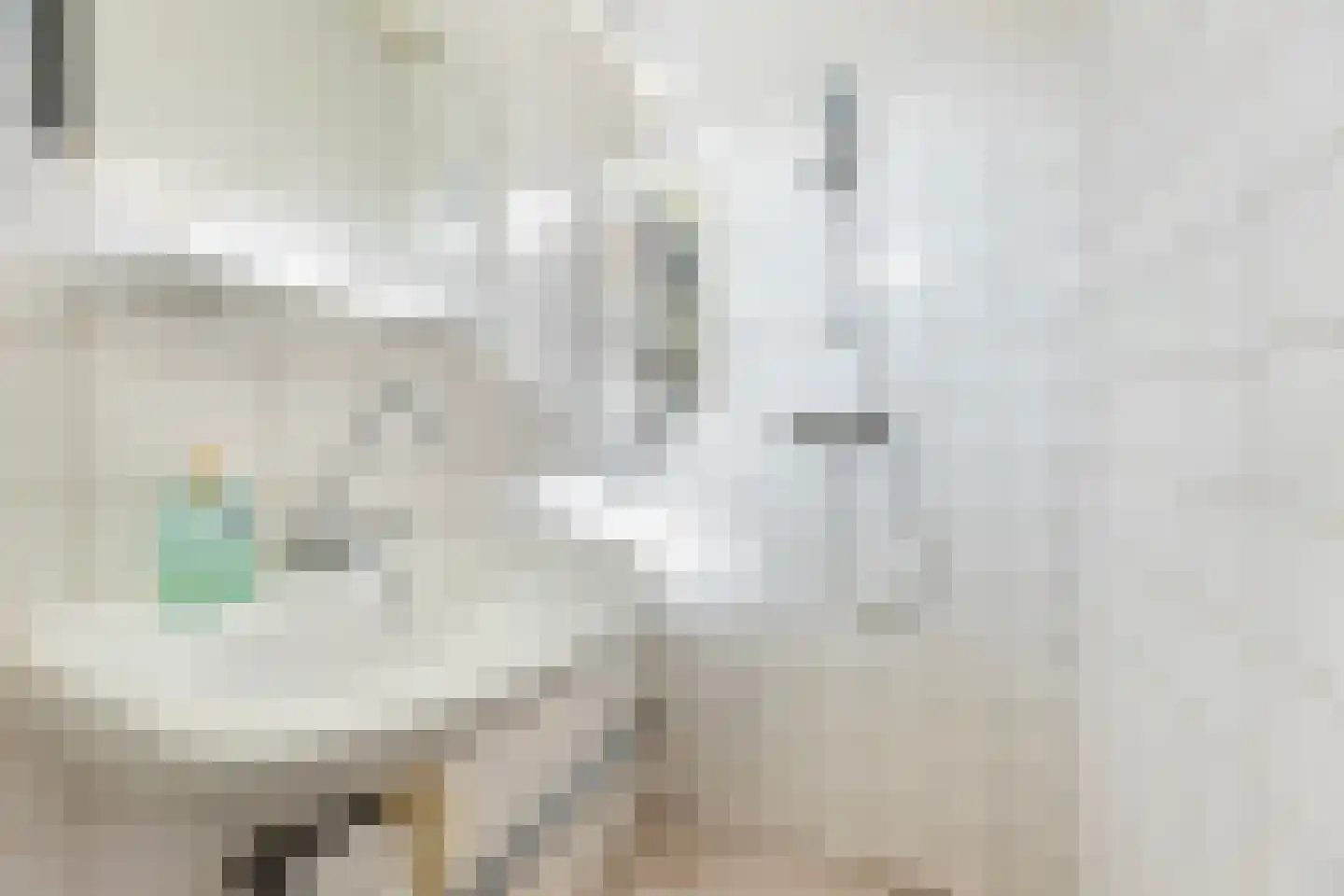 Bonairestraat 4 Hengelo thumbnail 30