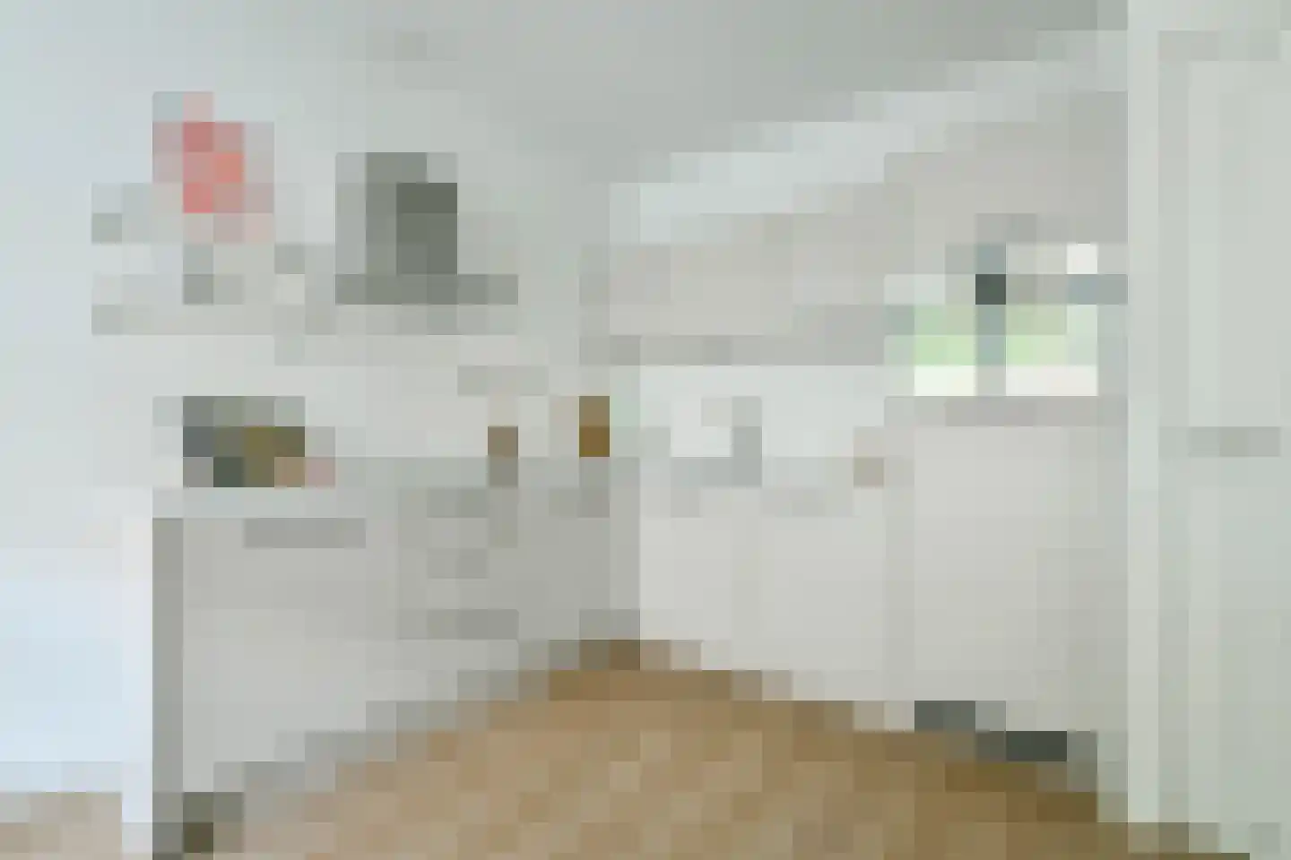 Bonairestraat 43 1 Amsterdam thumbnail 7