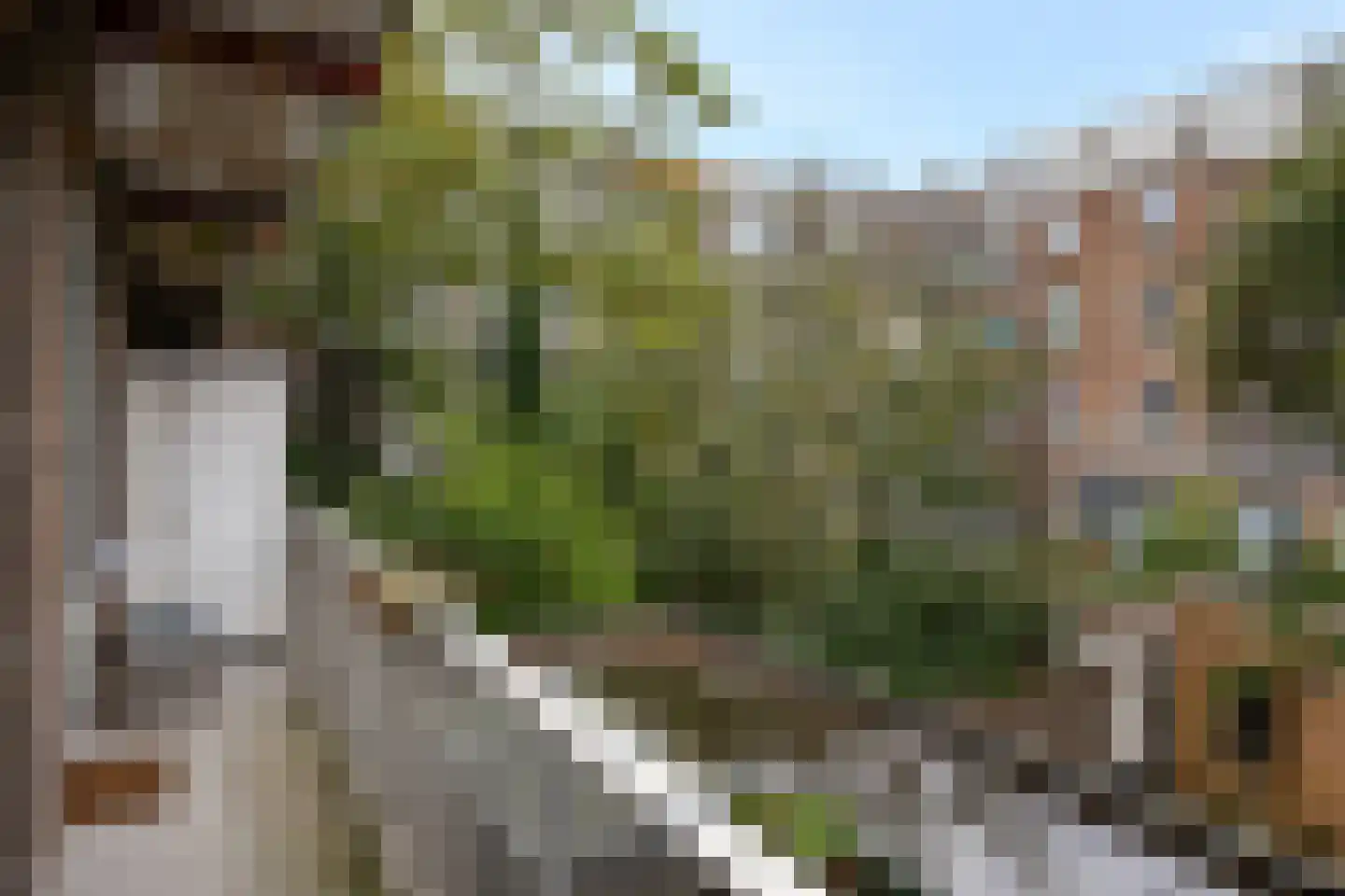 Bonairestraat 61 1 Amsterdam thumbnail 29