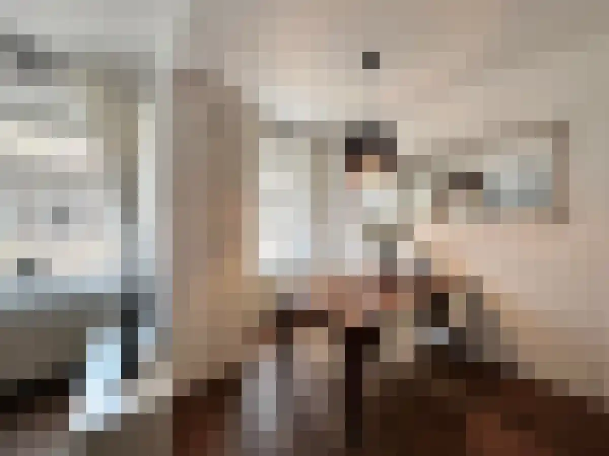 Bonairestraat 61 Amsterdam thumbnail 5