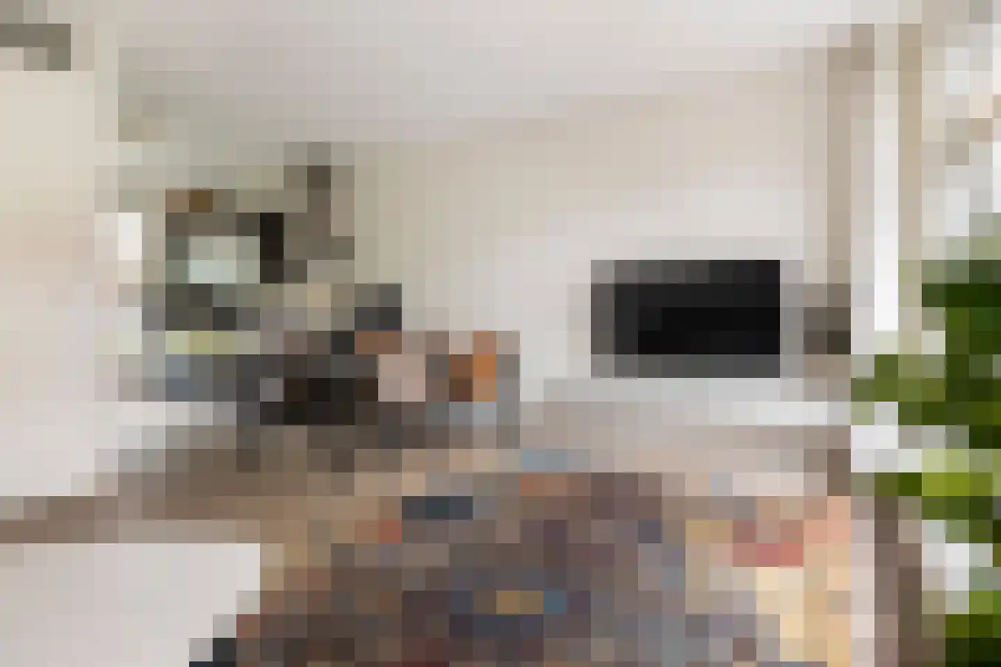 Bonairestraat 66 Groningen thumbnail 14
