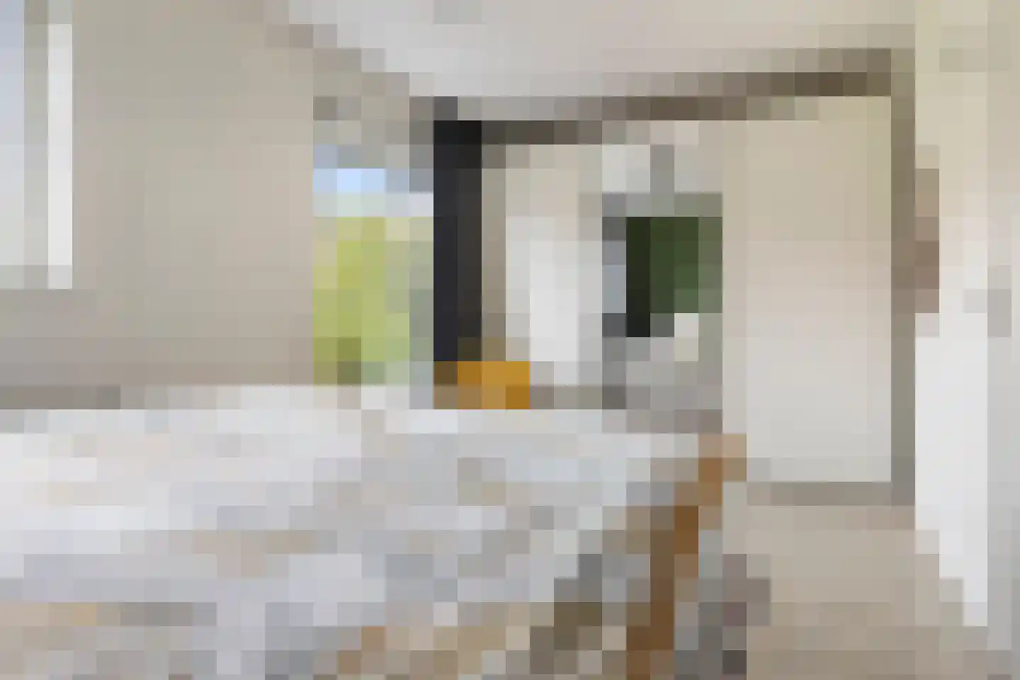 Bonairestraat 66 Groningen thumbnail 25