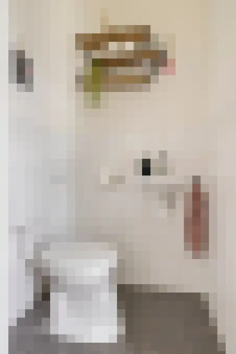 Bonairestraat 66 Groningen thumbnail 30