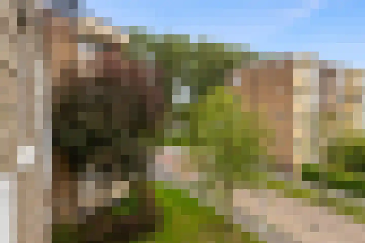 Bonairestraat 66 Groningen thumbnail 36