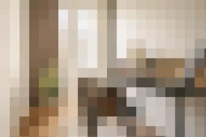 Bonairestraat 67 2 Amsterdam thumbnail 11