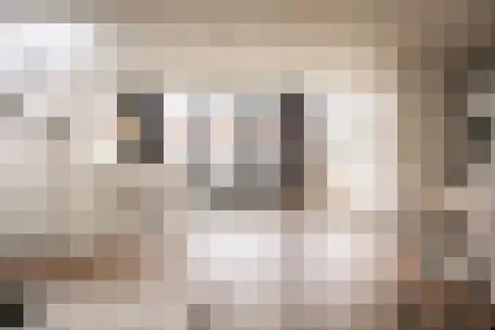 Bonairestraat 67 2 Amsterdam thumbnail 18