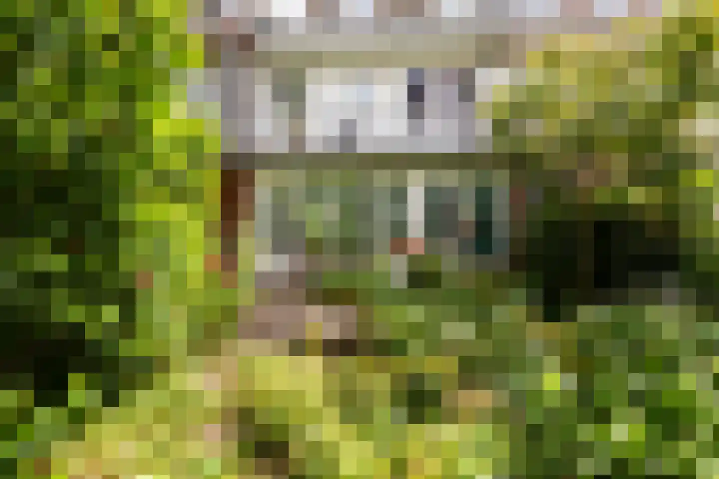 Bonairestraat 69 H Amsterdam thumbnail 17