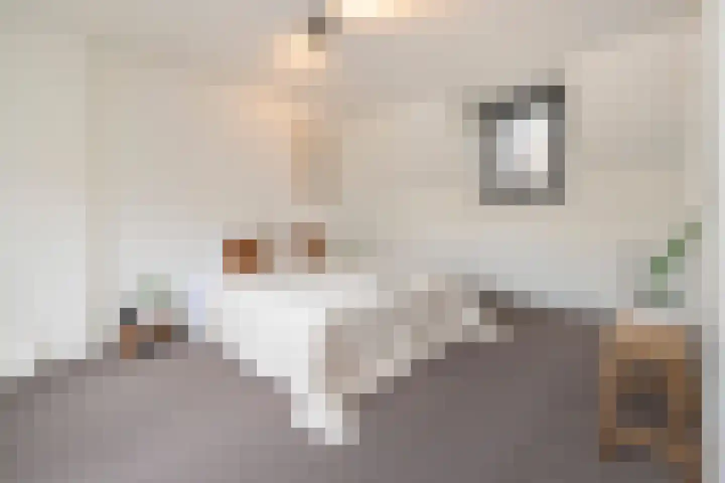 Bonairestraat 74 2 Amsterdam thumbnail 20