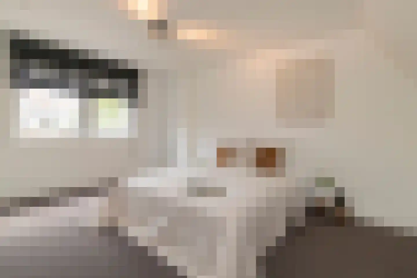 Bonairestraat 74 2 Amsterdam thumbnail 21