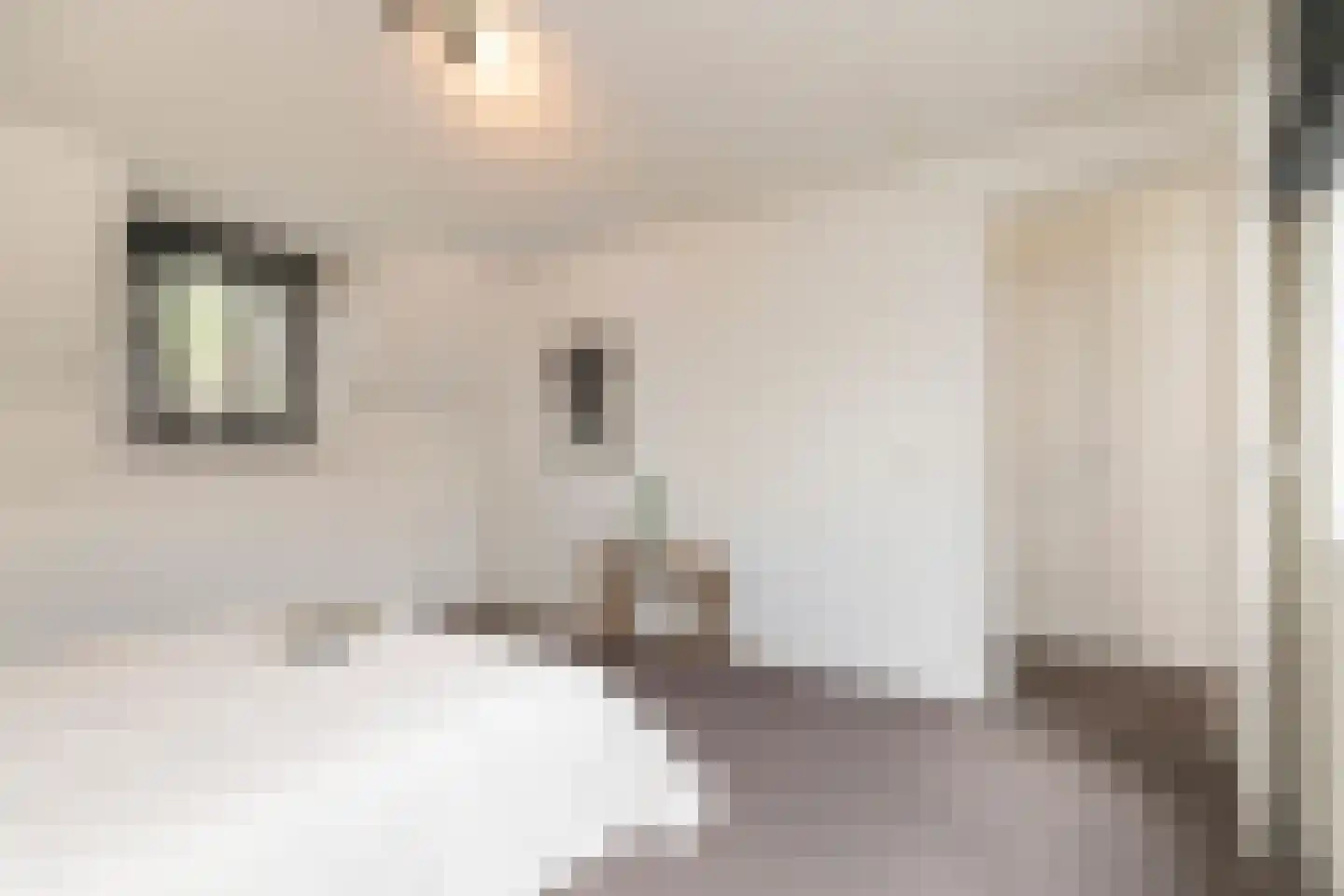 Bonairestraat 74 2 Amsterdam thumbnail 22