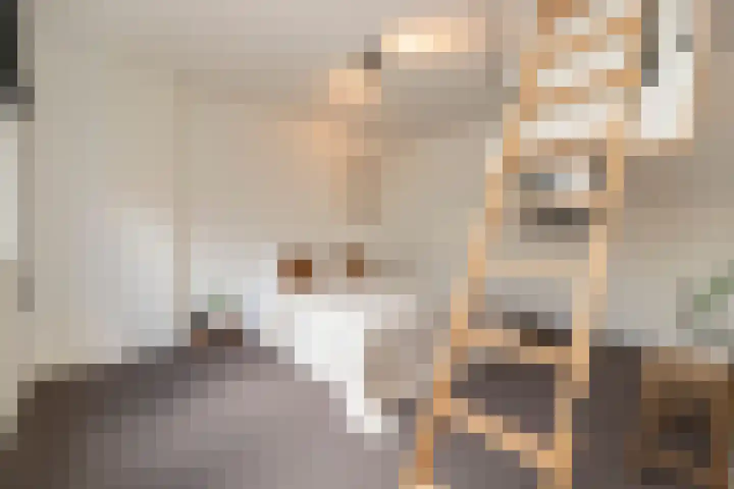 Bonairestraat 74 2 Amsterdam thumbnail 23