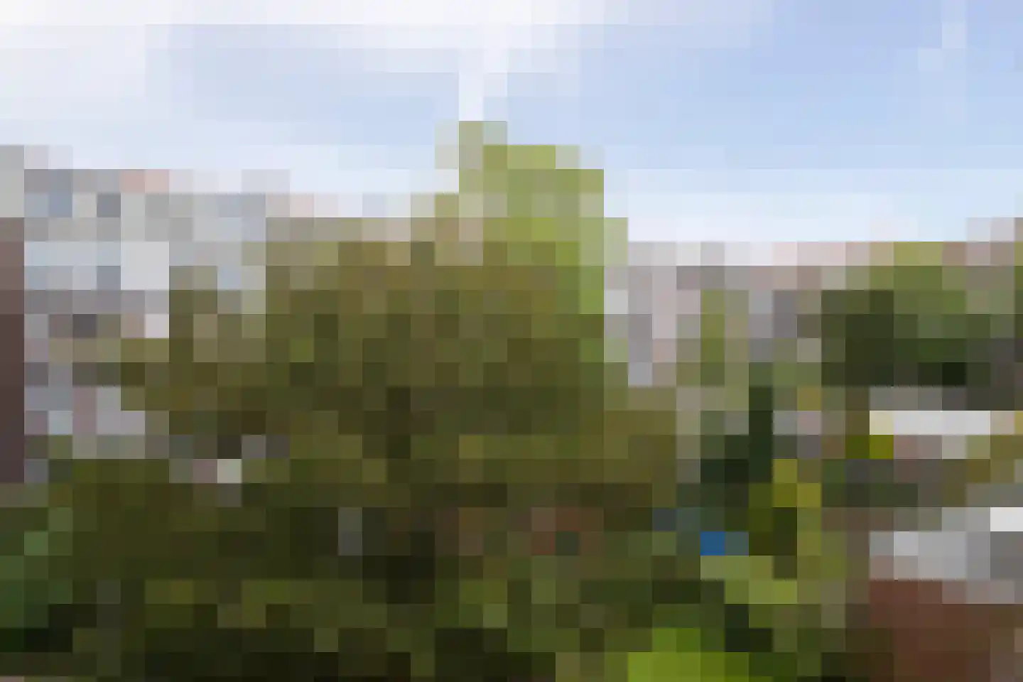 Bonairestraat 74 2 Amsterdam thumbnail 8