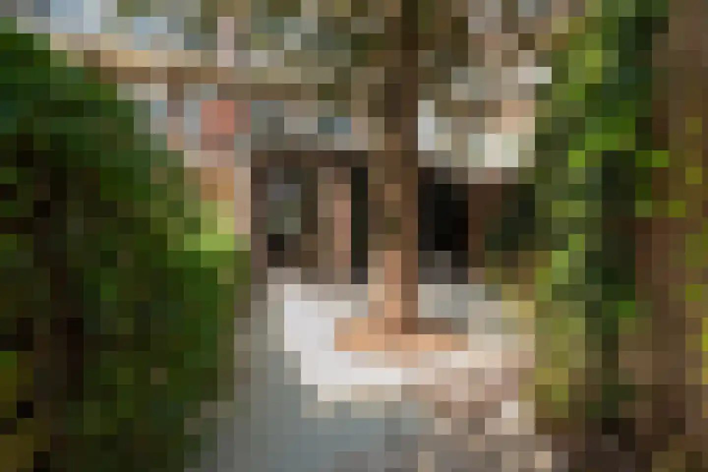 Bonairestraat 74 H Amsterdam thumbnail 16