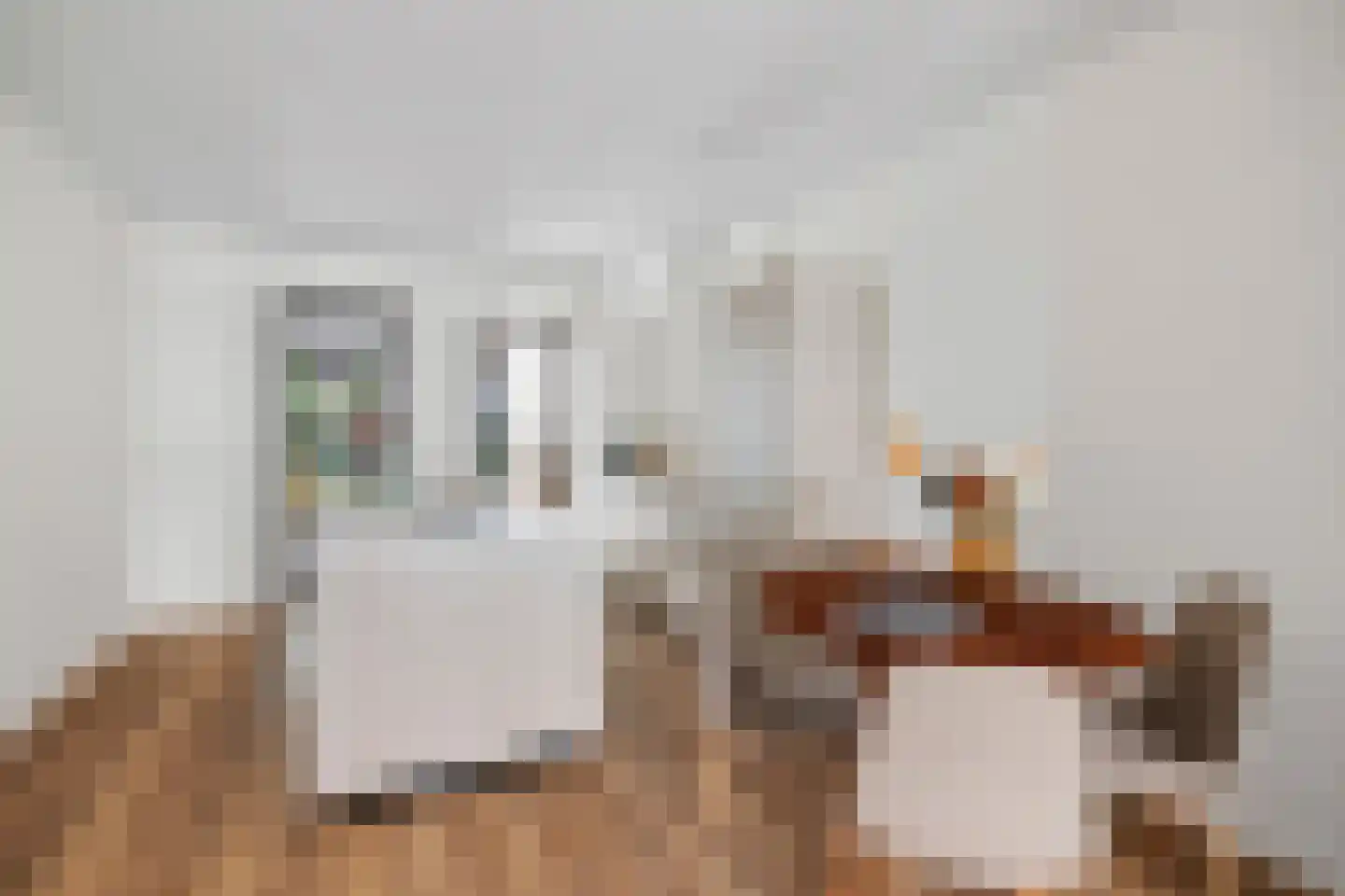 Bonairestraat 74 H Amsterdam thumbnail 7
