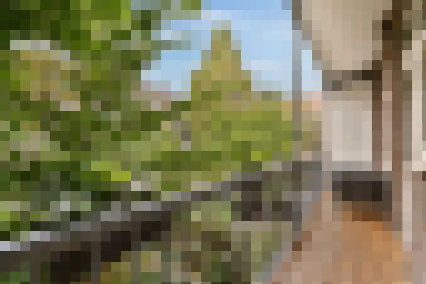 Bonairestraat 91 1 Amsterdam thumbnail 9