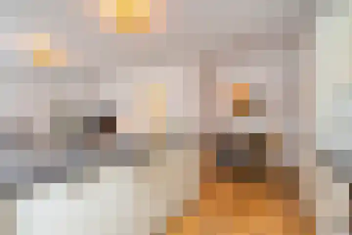Bonairestraat 92 Amsterdam thumbnail 11