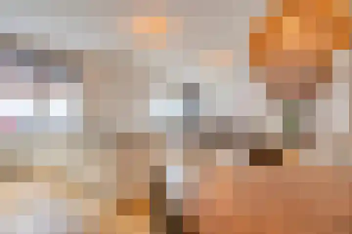Bonairestraat 92 Amsterdam thumbnail 12