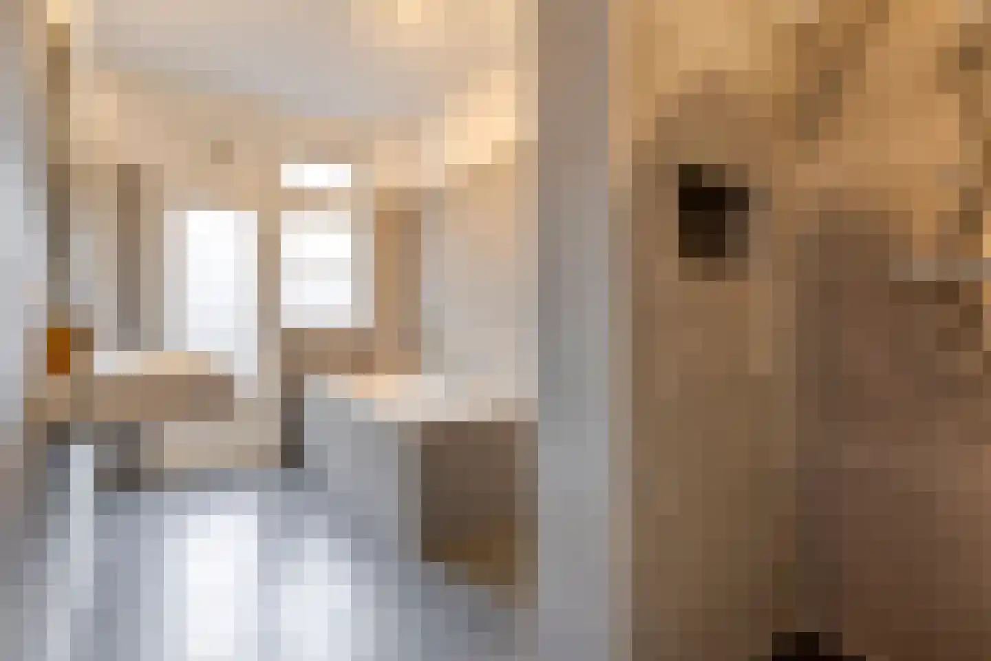 Bonairestraat 92 Amsterdam thumbnail 14