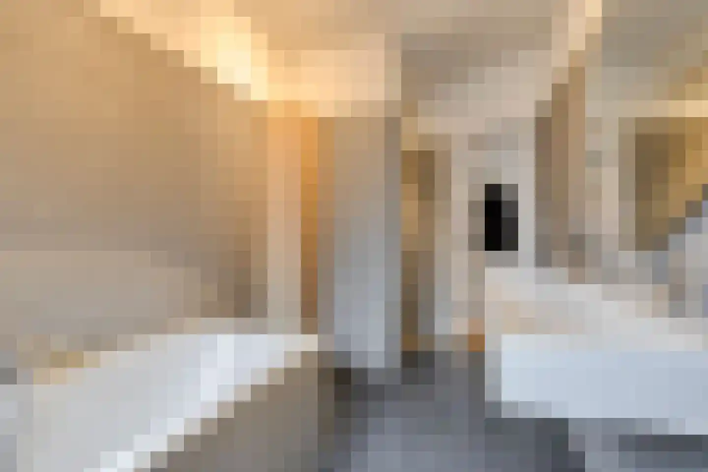 Bonairestraat 92 Amsterdam thumbnail 15