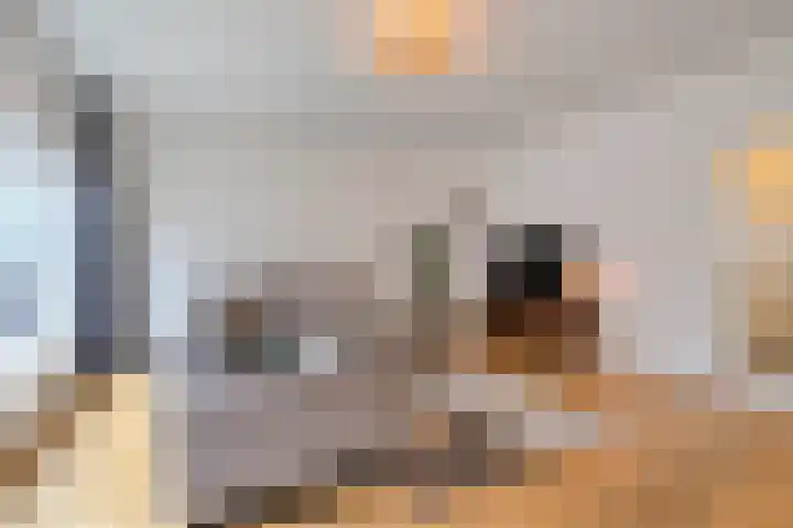 Bonairestraat 92 Amsterdam thumbnail 5