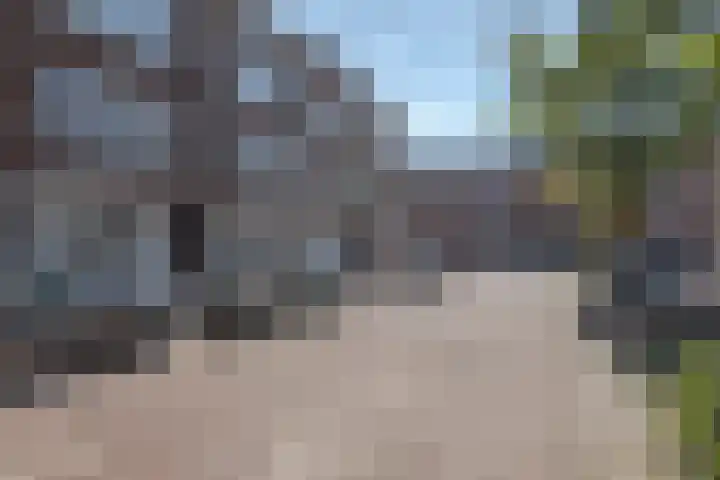 Bonaventurastraat 114 B Rotterdam thumbnail 21