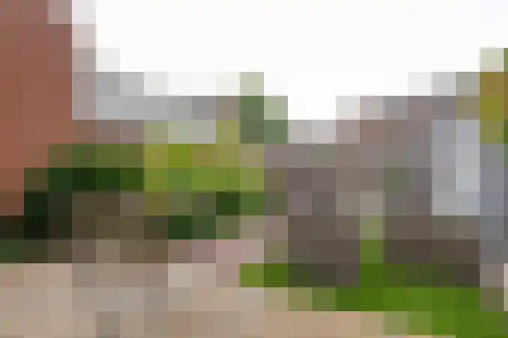 Bonaventurastraat 23 B Rotterdam thumbnail 11