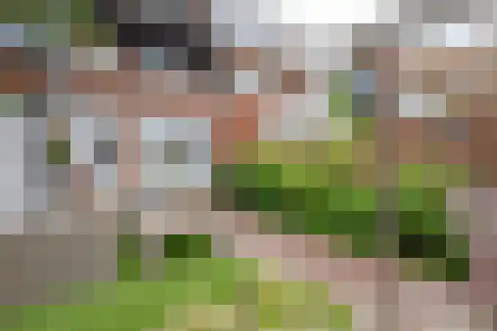 Bonaventurastraat 23 B Rotterdam thumbnail 12