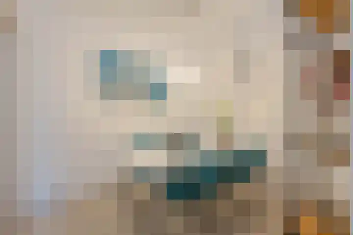 Bonaventurastraat 23 B Rotterdam thumbnail 18