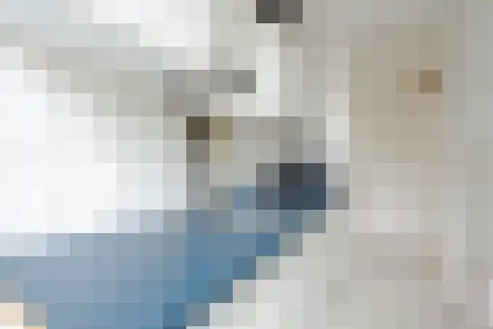 Bonaventurastraat 23 B Rotterdam thumbnail 23