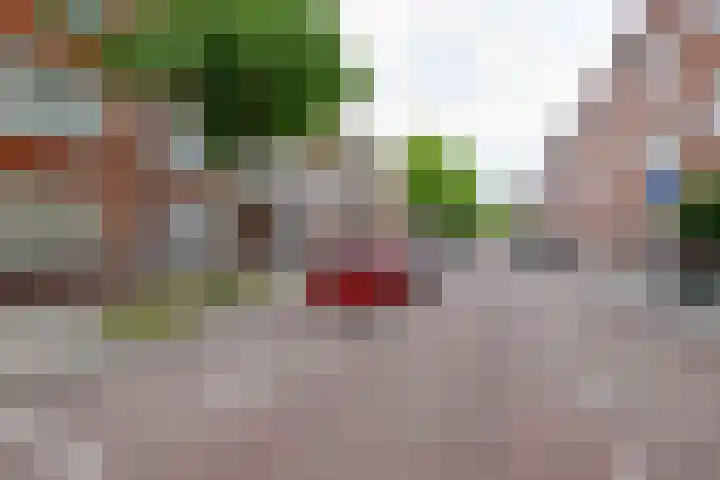 Bonaventurastraat 23 B Rotterdam thumbnail 24