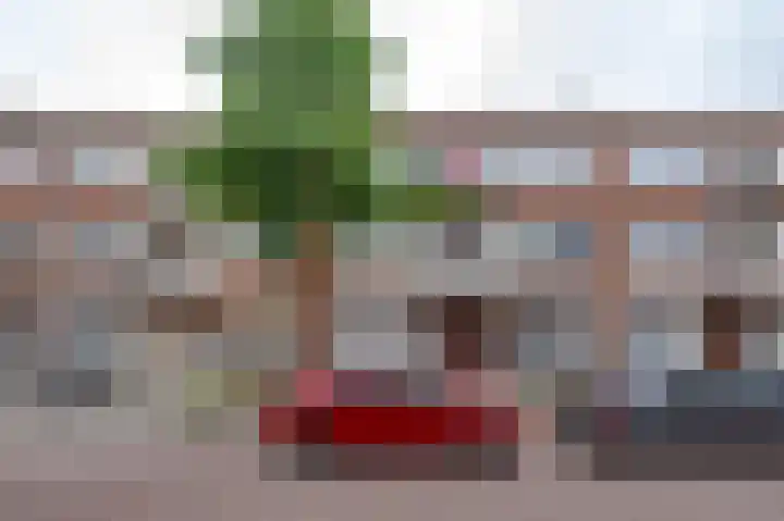 Bonaventurastraat 23 B Rotterdam thumbnail 25